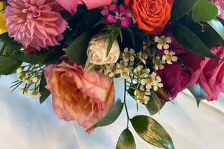Scarlett Blooms - 5