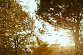 Wesley Harden Photography - 67