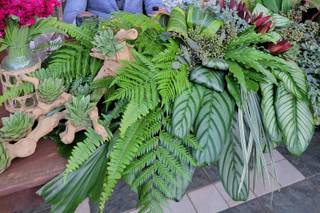 Dora Thillet Events - 12