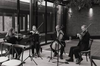 Beau Son Strings - 5