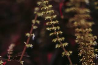 Ash Lee Photography - 6