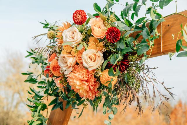 Mel Kay Photography - 4