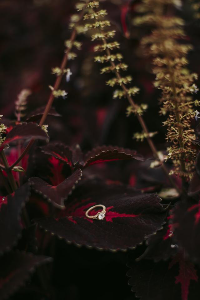 Ash Lee Photography - 2