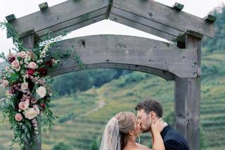 DelFosse Vineyards and Winery - 6