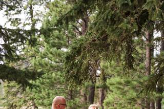 Timeless Wedding & Event Planner - 8