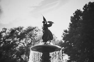 ein photography and design - 42