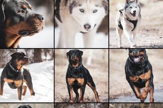Caity Jean Photography - 12