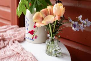 Shady Grove Gardens & Nursery - 6
