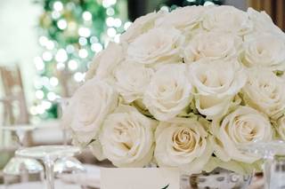 Natural Designs - 17