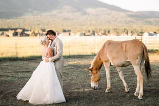 Brittany Nemec Photography - 6