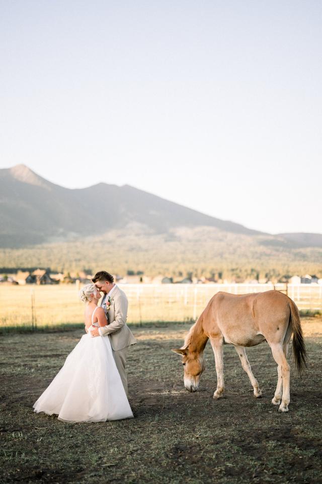 Brittany Nemec Photography - 2