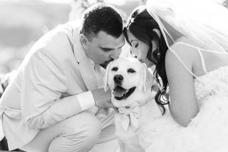 Stevie Dee Photography - 12
