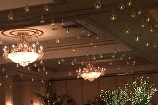 AMARYLLIS EVENT DECOR - 42