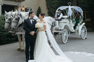 Chace Yang Photo + Video - 7