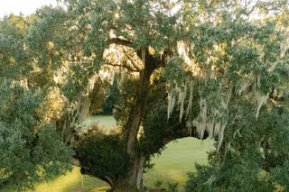 Rebecca Sigety Photography - 13