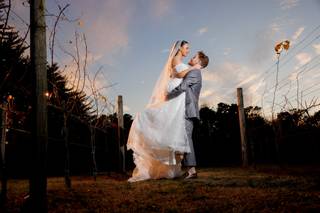 Shaun Reilly Photography - 7