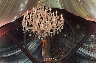 Bluebell Events - 8