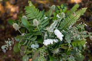 Mayfly Flowers - 42