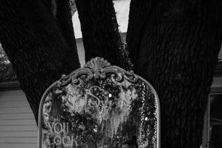 Hewitt Oaks - 14