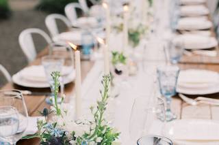Plume Events - 14