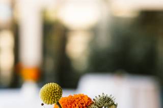 The Pollen Mill - 5
