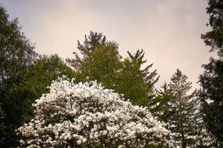 Matthew Eberle Photography - 20