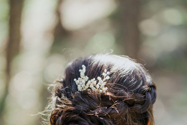 Graceful Moments 2