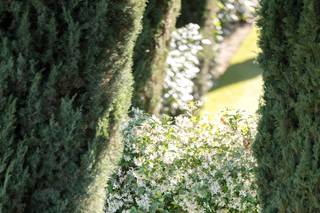 Justin Critz Photography - 5