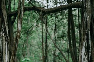 Shannon Melek Photography - 15