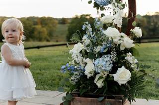 Done In Love Films - 6