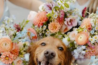 Sweet Chamomile Floral and Events - 11