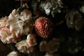Forest Flowers - 7