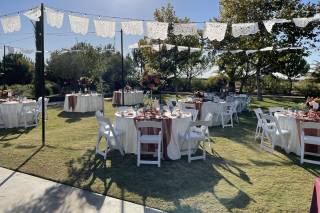 Touch Of Elegance - 15