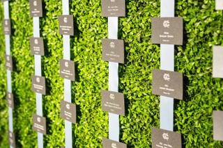 Hitched Events - 11