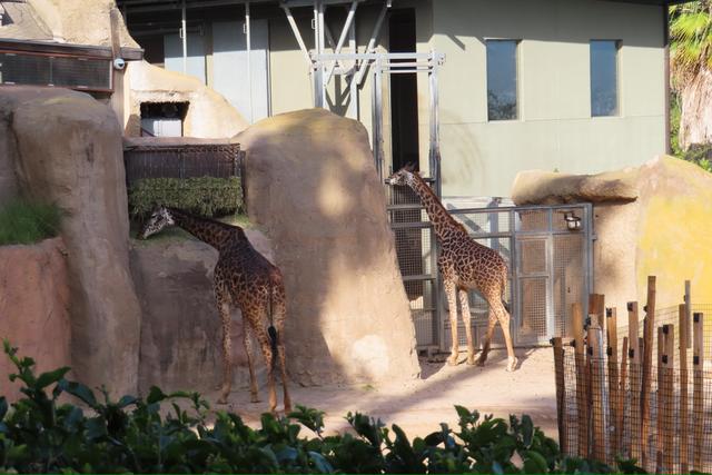 Santa Barbara Zoo - 1