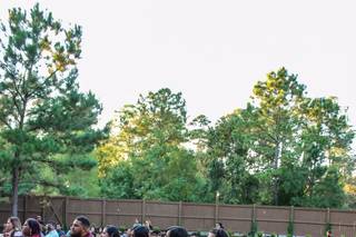 The Springs in Lake Conroe - 83
