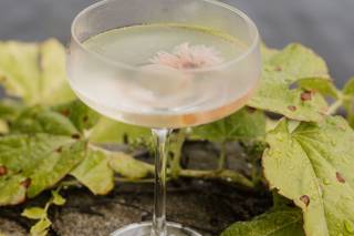Bar Harbor Catering Company - 7