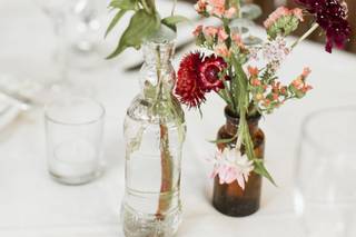 Fast Pony Flowers - 48