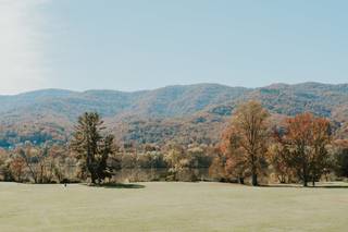 Risen Vintage - 6