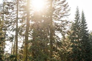 Jessica Eddington Photography - 6