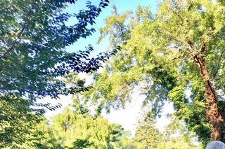 The Inn at Fernbrook Farms - 48