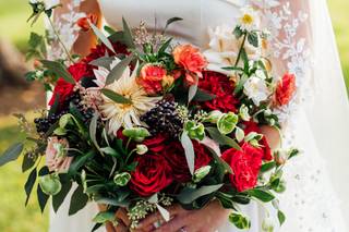 Addie Roberge Photography - 7