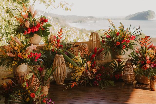 Tropical Occasions - 1