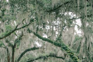 Cotton Hall - 22