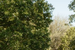 Hera's Haven Wedding & Event Venue - 13