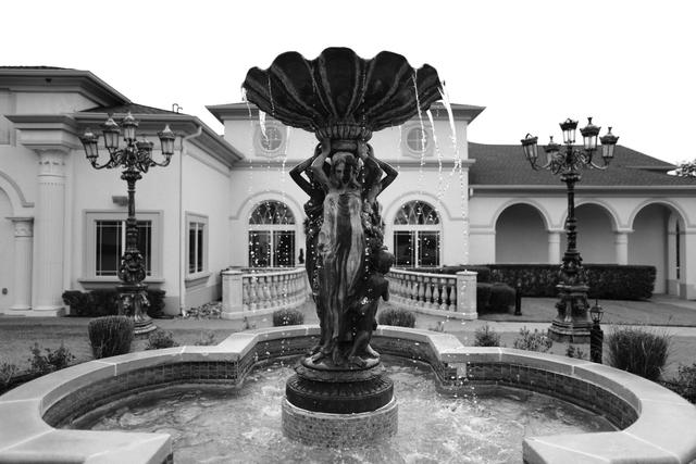 The Springs in Arlington - 3