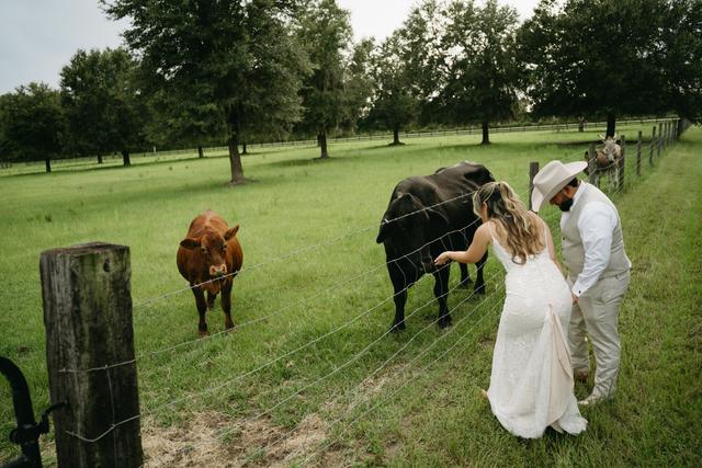 C Bar Ranch - 3