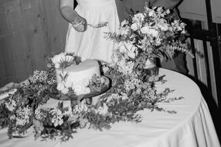 Shelly Anderson Photography - 6