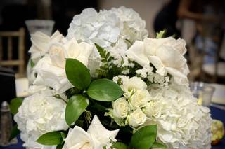 Tovicand Photography - 6