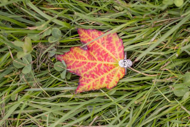 Maggie Tittler Photography 1